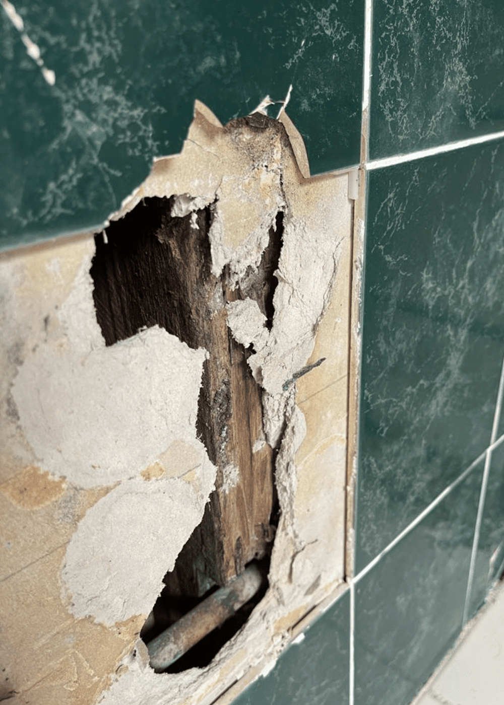 Asbestos Testing