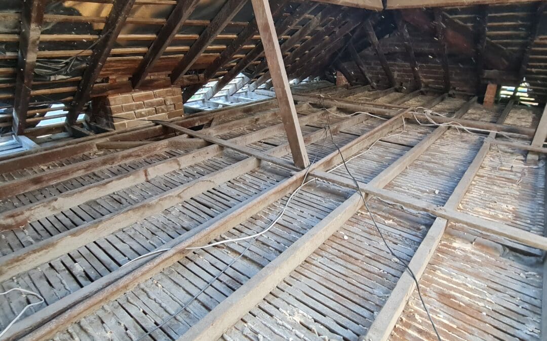 Asbestos Roof Cavity Clean Up – Bondi NSW