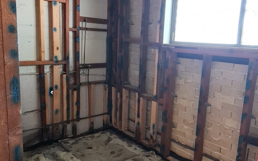 Bathroom & Toilet Asbestos walls – Davidson NSW