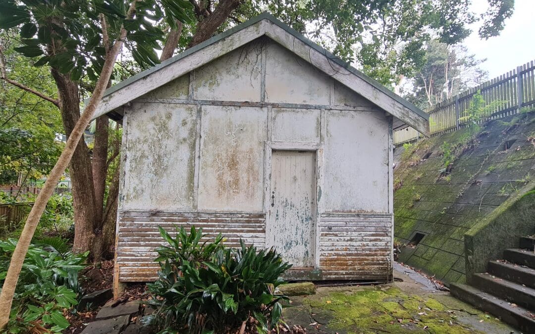 Asbestos ban in Australia: weathered fibro granny flat with cover-strip wall sheeting in a leafy Pymble backyard